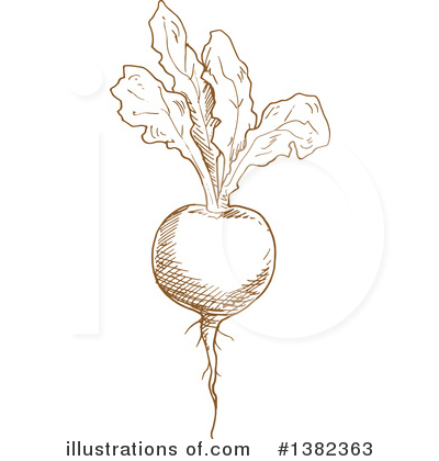 Royalty-Free (RF) Beet Clipart Illustration by Vector Tradition SM - Stock Sample #1382363