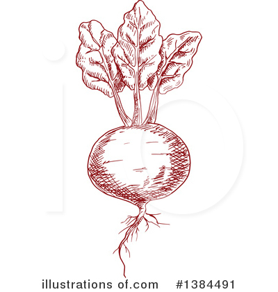 Royalty-Free (RF) Beet Clipart Illustration by Vector Tradition SM - Stock Sample #1384491