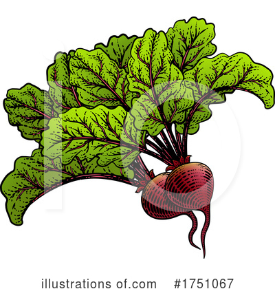 Royalty-Free (RF) Beet Clipart Illustration by AtStockIllustration - Stock Sample #1751067