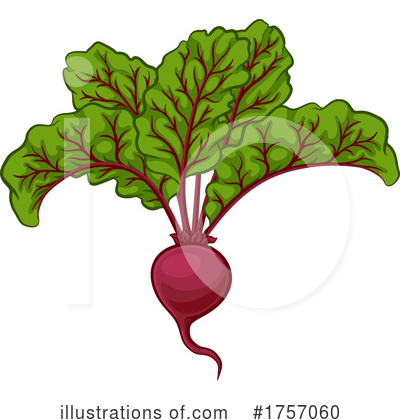 Beets Clipart #1757060 by AtStockIllustration