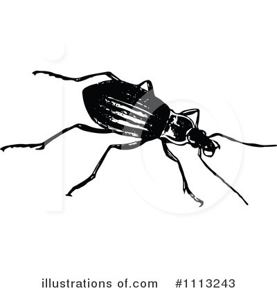 Royalty-Free (RF) Beetle Clipart Illustration by Prawny Vintage - Stock Sample #1113243