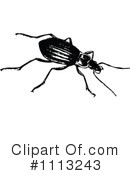 Beetle Clipart #1113243 by Prawny Vintage