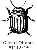 Beetle Clipart #1113714 by Prawny Vintage