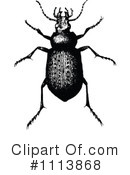 Beetle Clipart #1113868 by Prawny Vintage
