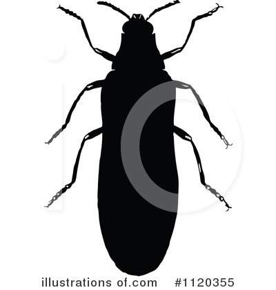 Royalty-Free (RF) Beetle Clipart Illustration by Prawny Vintage - Stock Sample #1120355