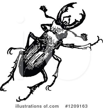 Royalty-Free (RF) Beetle Clipart Illustration by Prawny Vintage - Stock Sample #1209163
