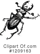 Beetle Clipart #1209163 by Prawny Vintage