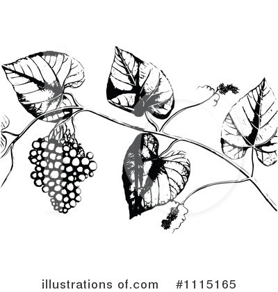 Royalty-Free (RF) Berries Clipart Illustration by Prawny Vintage - Stock Sample #1115165