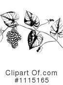 Berries Clipart #1115165 by Prawny Vintage