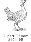 Bird Clipart #104495 by patrimonio