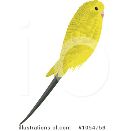 Royalty-Free (RF) Bird Clipart Illustration by vectorace - Stock Sample #1054756