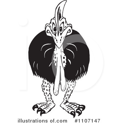 Cassowary Clipart #1107147 by Dennis Holmes Designs