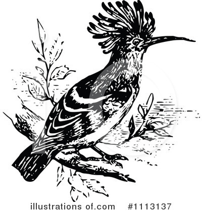 Bird Clipart #1113137 by Prawny Vintage
