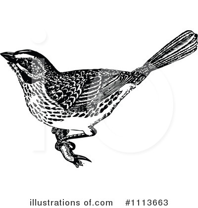 Royalty-Free (RF) Bird Clipart Illustration by Prawny Vintage - Stock Sample #1113663