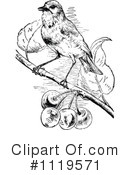 Bird Clipart #1119571 by Prawny Vintage
