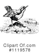 Bird Clipart #1119578 by Prawny Vintage