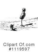 Bird Clipart #1119597 by Prawny Vintage