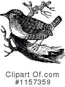 Bird Clipart #1157359 by Prawny Vintage