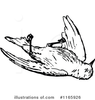 Royalty-Free (RF) Bird Clipart Illustration by Prawny Vintage - Stock Sample #1165926