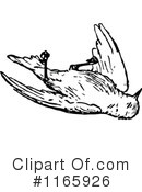 Bird Clipart #1165926 by Prawny Vintage