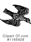 Bird Clipart #1165928 by Prawny Vintage