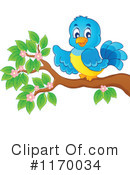 Bird Clipart #1170034 by visekart