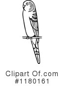 Bird Clipart #1180161 by Prawny Vintage