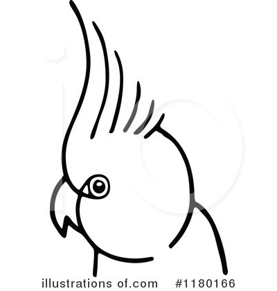 Parrot Clipart #1180166 by Prawny Vintage