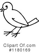 Bird Clipart #1180169 by Prawny Vintage
