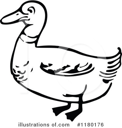 Ducks Clipart #1180176 by Prawny Vintage