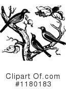 Bird Clipart #1180183 by Prawny Vintage
