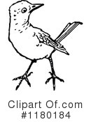 Bird Clipart #1180184 by Prawny Vintage