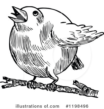 Royalty-Free (RF) Bird Clipart Illustration by Prawny Vintage - Stock Sample #1198496