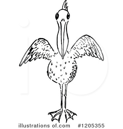 Pelican Clipart #1205355 by Prawny Vintage