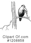 Bird Clipart #1208858 by Prawny Vintage