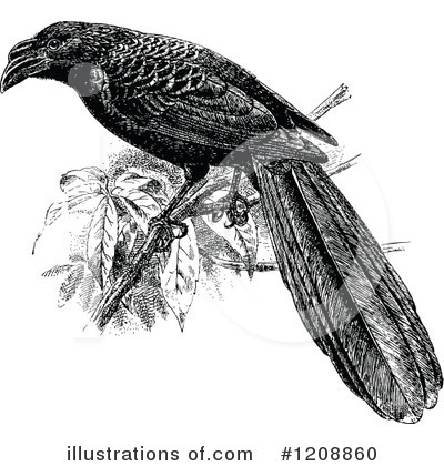 Royalty-Free (RF) Bird Clipart Illustration by Prawny Vintage - Stock Sample #1208860