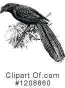 Bird Clipart #1208860 by Prawny Vintage