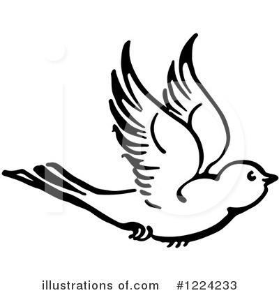 Royalty-Free (RF) Bird Clipart Illustration by Picsburg - Stock Sample #1224233
