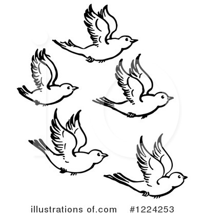 Royalty-Free (RF) Bird Clipart Illustration by Picsburg - Stock Sample #1224253