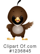 Bird Clipart #1236845 by BNP Design Studio