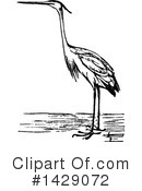 Bird Clipart #1429072 by Prawny Vintage