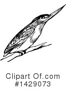 Bird Clipart #1429073 by Prawny Vintage