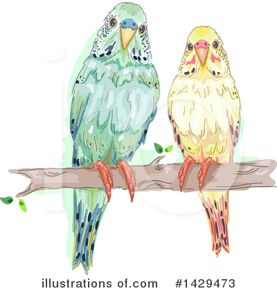 Parakeet Clipart #1429473 by BNP Design Studio