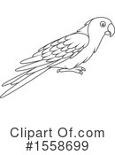 Bird Clipart #1558699 by Alex Bannykh