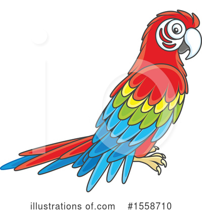 Macaw Clipart #1558710 by Alex Bannykh