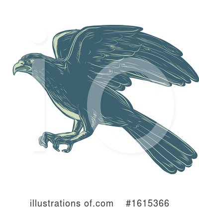 Hawk Clipart #1615366 by patrimonio
