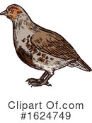Bird Clipart #1624749 by Vector Tradition SM