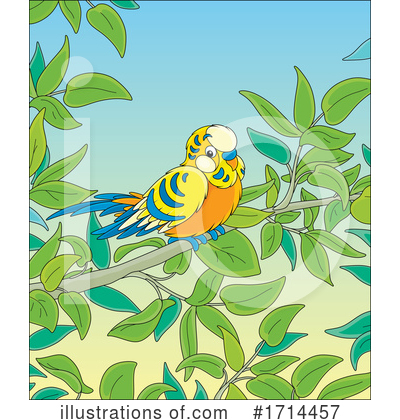 Parakeet Clipart #1714457 by Alex Bannykh