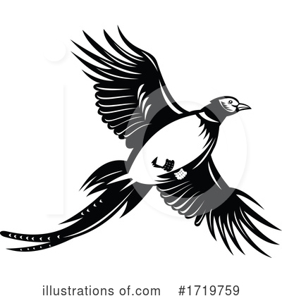 Royalty-Free (RF) Bird Clipart Illustration by patrimonio - Stock Sample #1719759