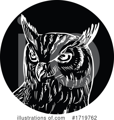 Owl Clipart #1719762 by patrimonio